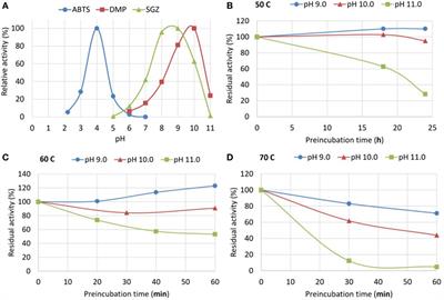 Enzymatic Processes to Unlock the Lignin Value